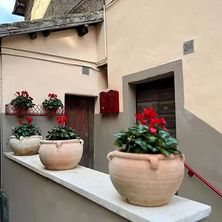 Elena'S Suite Sutri Exterior photo