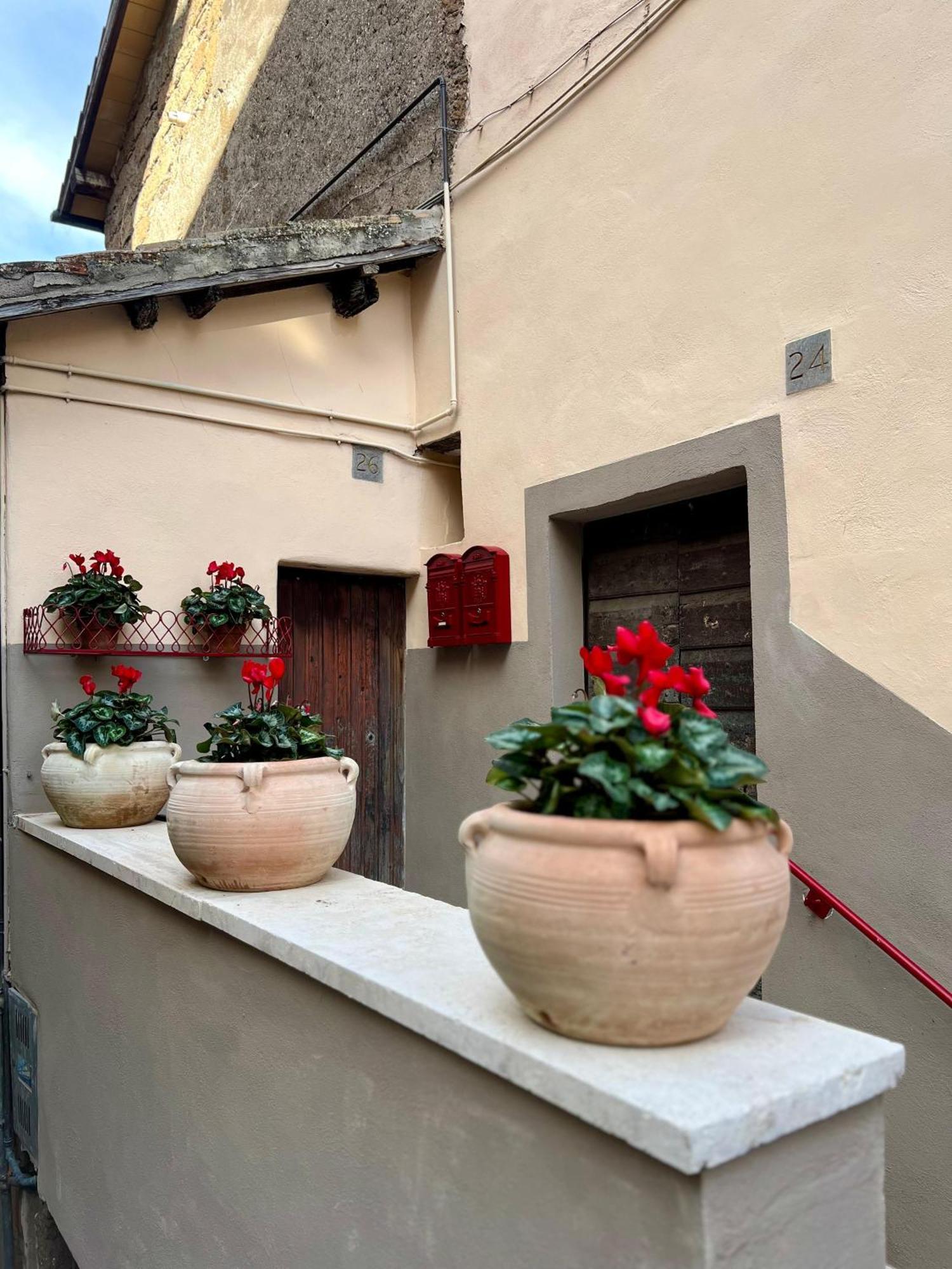Elena's Apartment